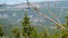 Dateiname=Brocken_Mia_Salzgitter-20100417-133548.jpg
Dateigröße=284KB
Abmessungen: 800x450
hinzugefügt am: 25. Oktober 2011 Brocken_Mia_Salzgitter-20100417-133548.jpg