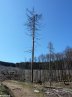 Brocken_Mia_Salzgitter-20100417-120347.jpg