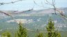 Brocken_Mia_Salzgitter-20100417-133556a.jpg